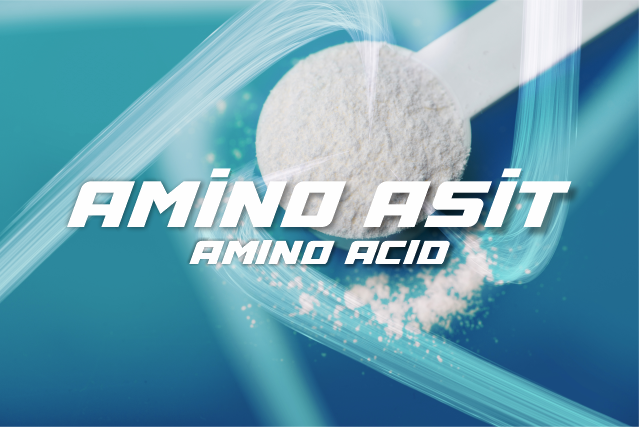 Amino Asitler